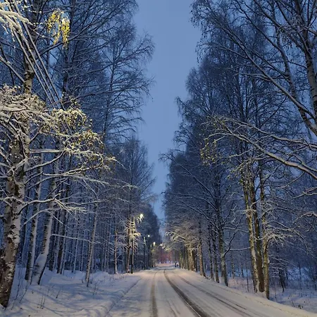 빌라 Kuura 로바니에미