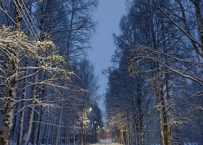 Βίλα Kuura Ροβανιέμι